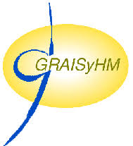 GRAISyHM